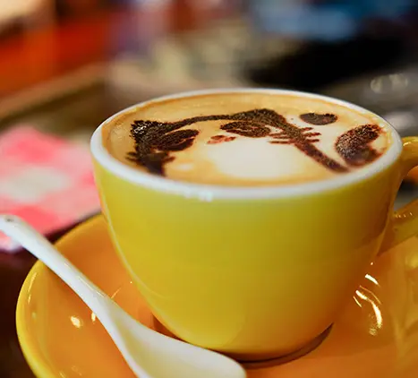 Best web design and digital marketing agency In Delhi, India